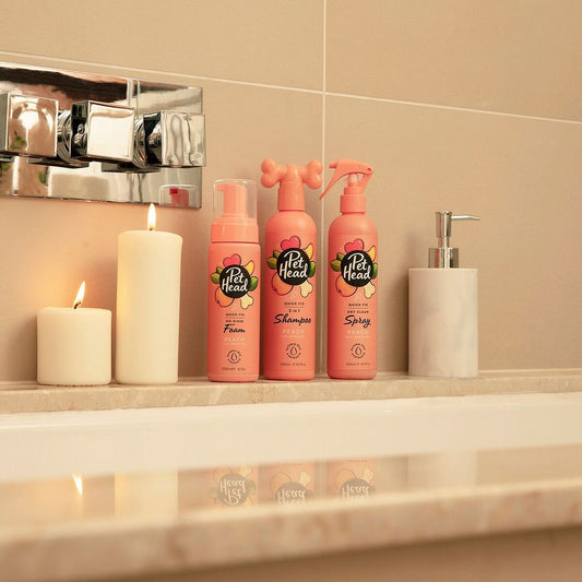 Cleansing Foam Pet Head Quick Fix Peach 200 ml Dog