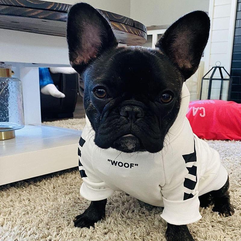Winter Pup Parka