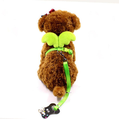 Little Angel Wings Pet Leash