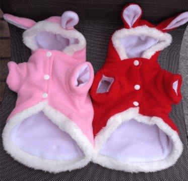 Cozy Bunny Cat Hoodie - Warm And Adorable Pet Cat Clothes